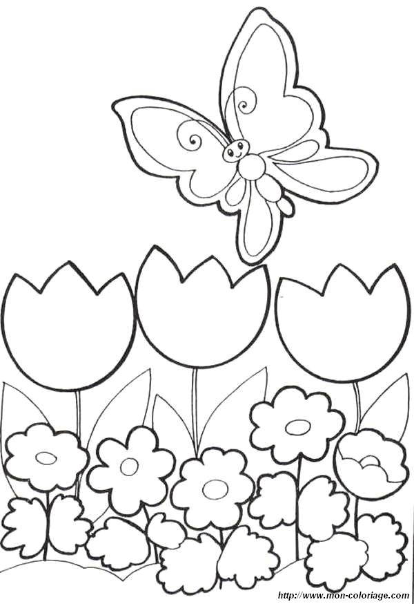 image coloriage-papillons-fleur_jpg.jpg