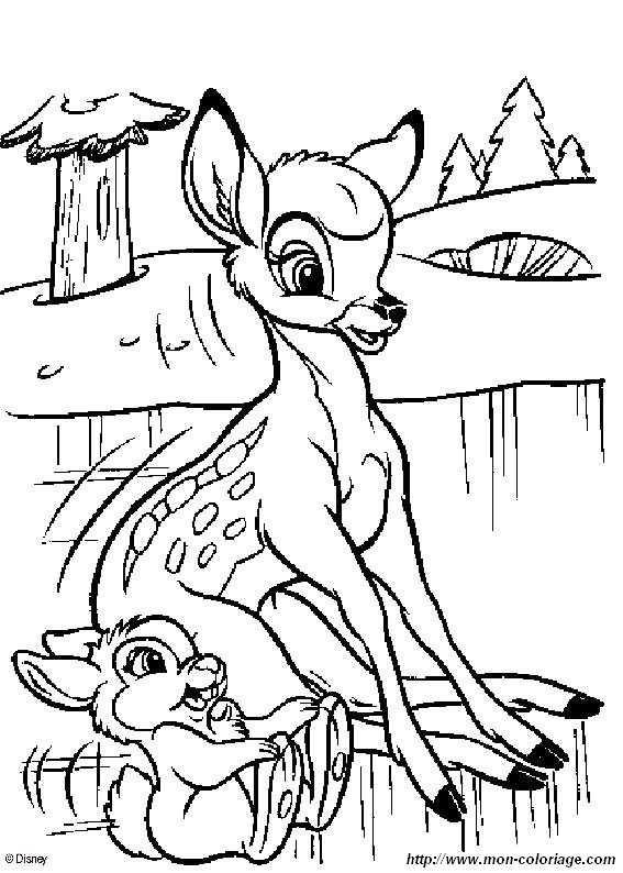 image Bambi_02.jpg