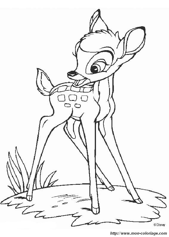 image Bambi_04.jpg