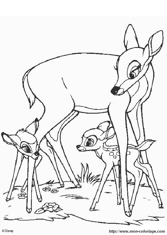 image Bambi_08.jpg