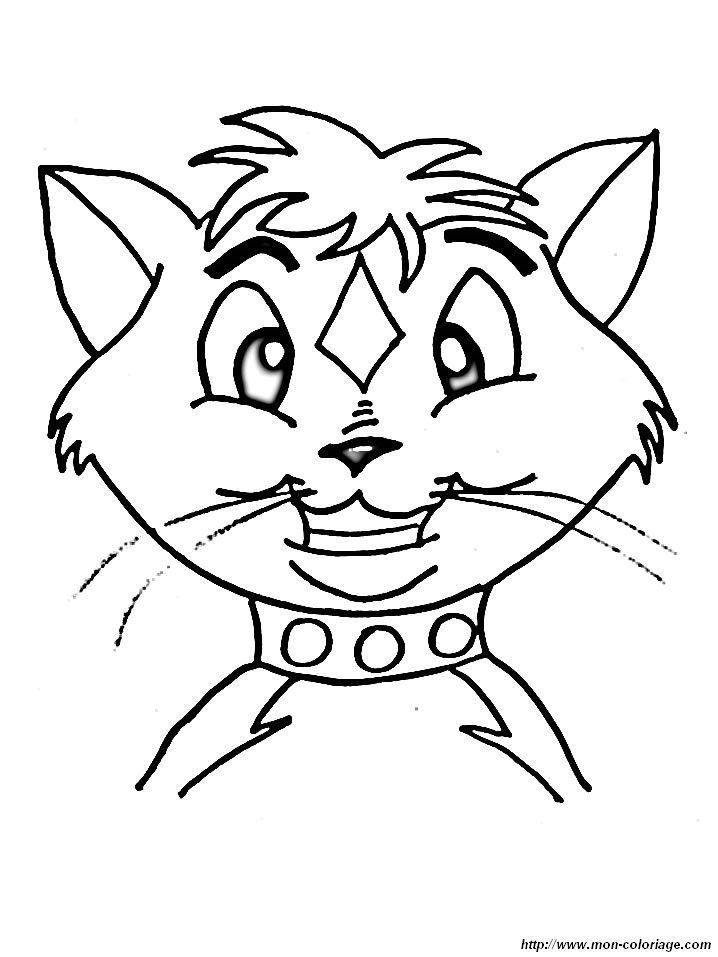 image chats_006.jpg