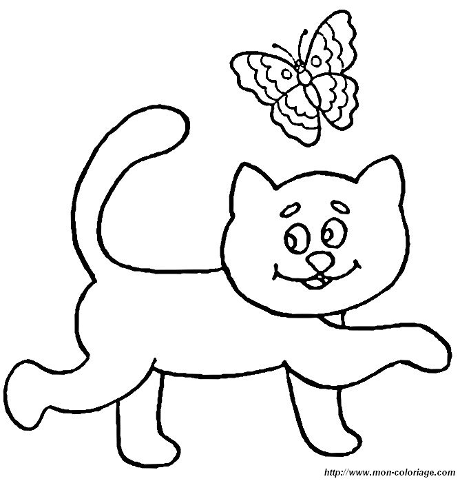 image chats_007.jpg