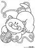 Aller � chats_004.jpg