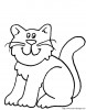 Aller � chats_005.jpg