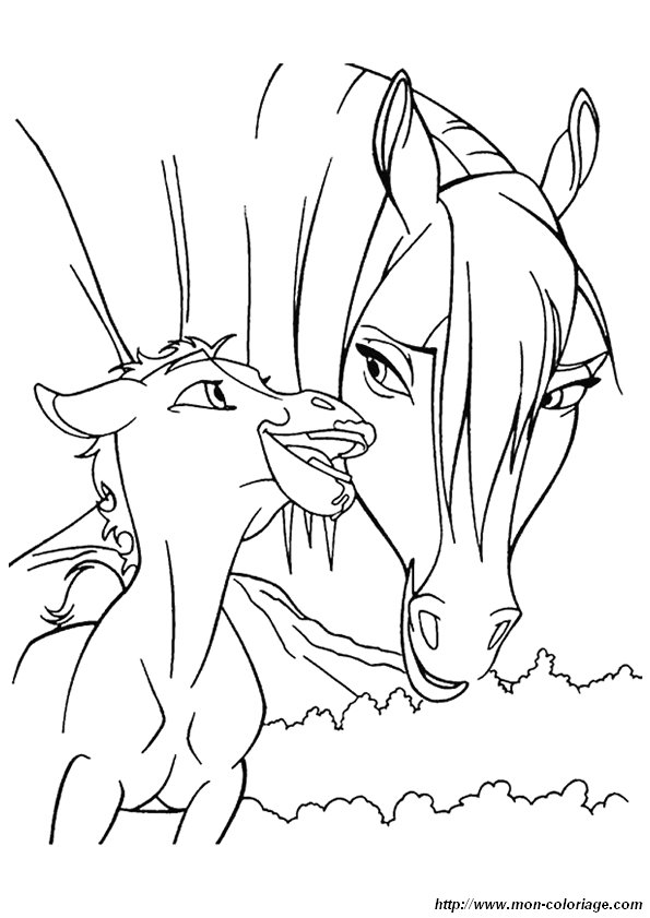 image dessins_de_cheval.jpg