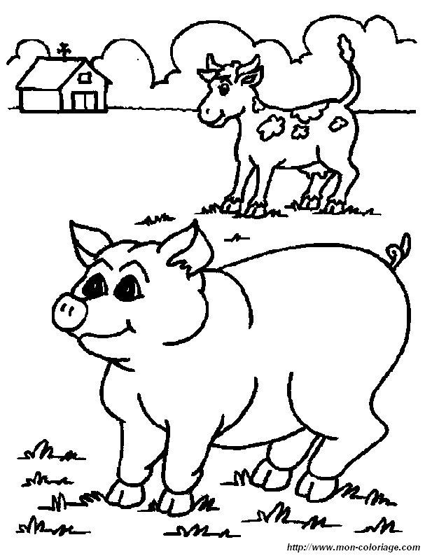 image cochon_coloriage.jpg