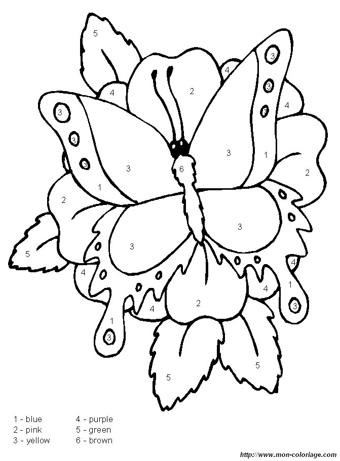 image un-papillon.jpg