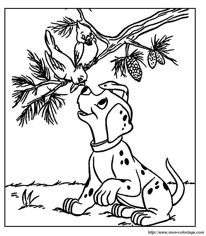 image 101_dalmatiens_1.jpg