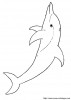 Aller  coloriage-dauphins.jpg