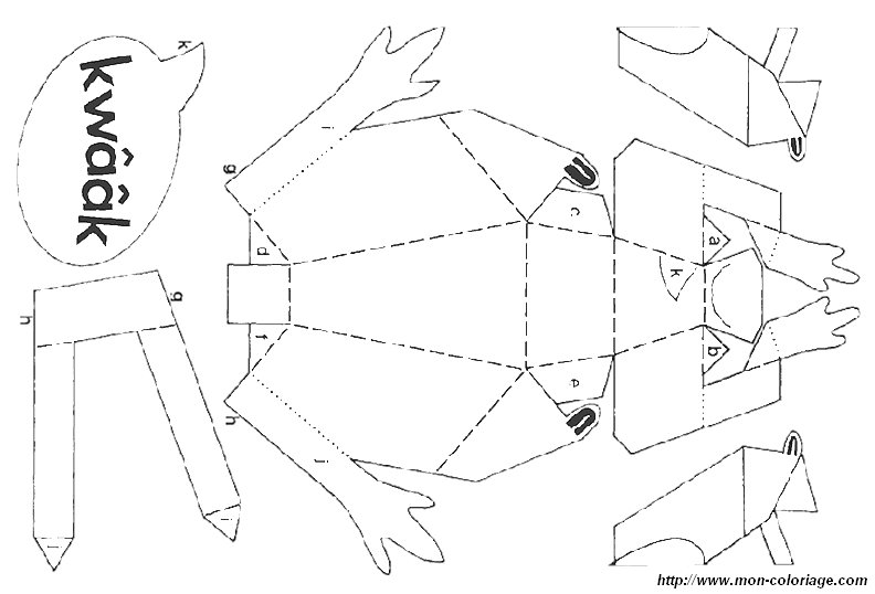 image grenouille1.jpg