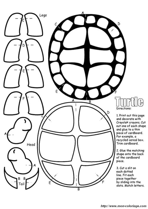 image tortue-3.JPG