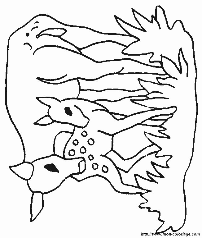 image animaux_coloriage.jpg