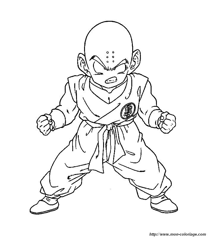 image coloriages-dbz.jpg