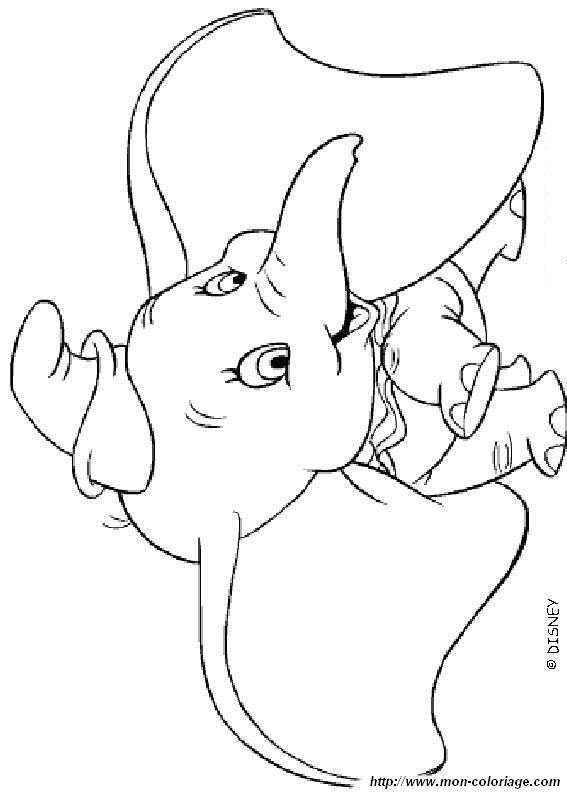 image dumbo05.jpg