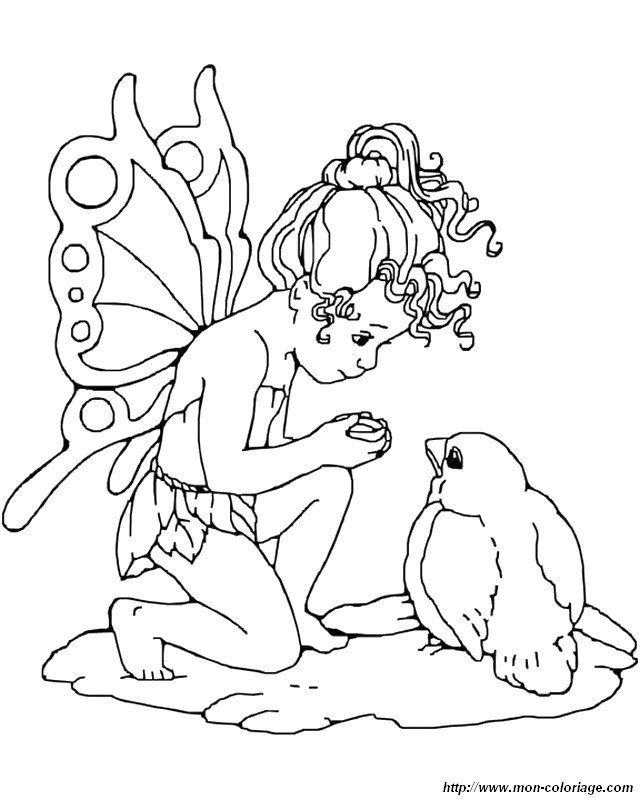 image coloriage-fees.jpg