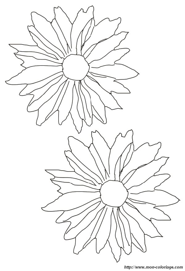 image coloriage-fleur-petale_gif.jpg