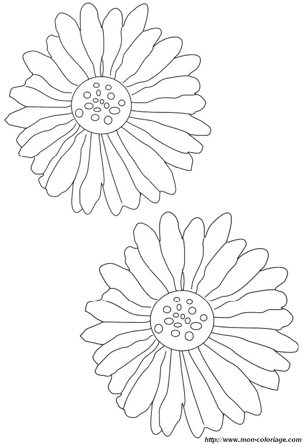 image coloriage-fleur-petales_gif.jpg