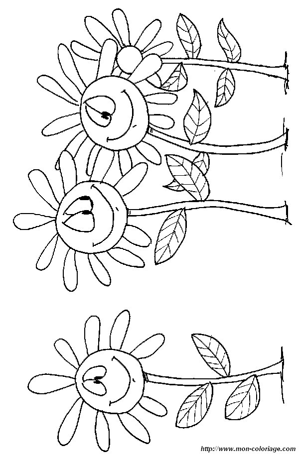 image coloriage-marguerites_gif.jpg