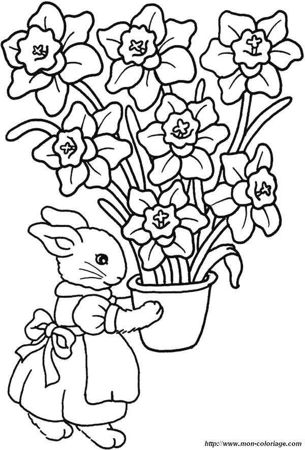 image coloriages-fleur-lapin_jpg.jpg