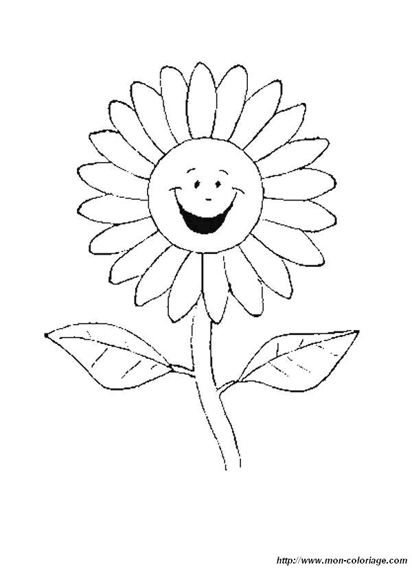 image coloriages-fleur-marguerite_jpg.jpg