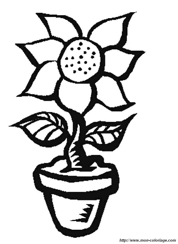 image coloriages-fleur-pot_jpg.jpg