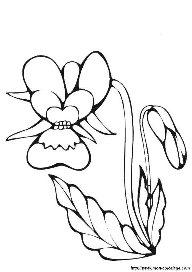 image coloriages-fleur_jpg.jpg