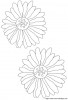 Aller  coloriage-fleur-petales_gif.jpg