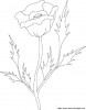 Aller  coloriage-fleur-rose_gif.jpg