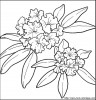 Aller  coloriage-fleurs_jpg.jpg