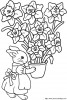 Aller  coloriages-fleur-lapin_jpg.jpg