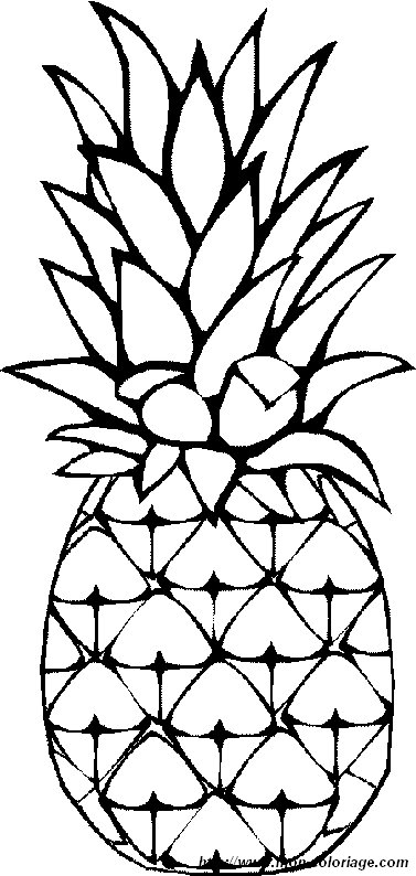 image ananas.jpg