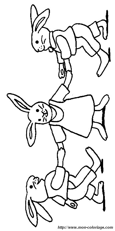 image lapin16.jpg