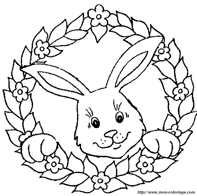 image lapin18.jpg