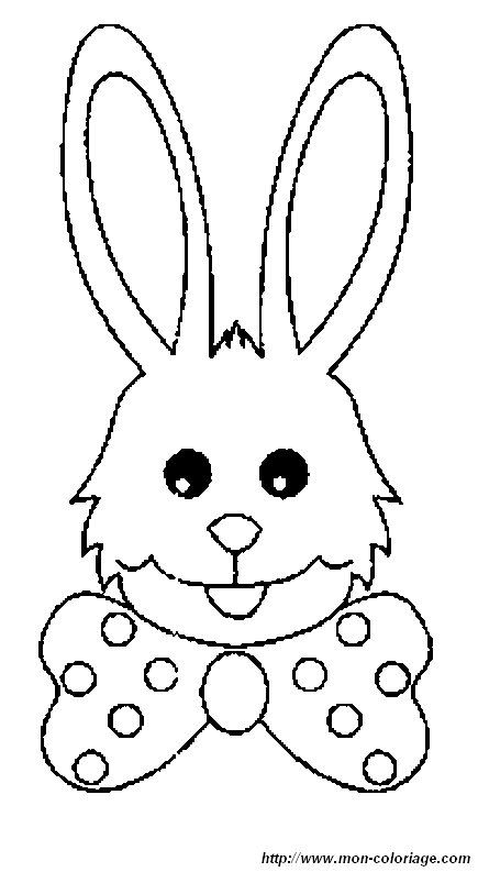 image lapin33.jpg