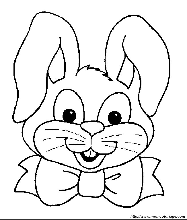image lapin36.jpg