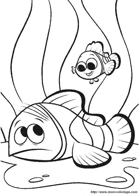 image nemo01.jpg