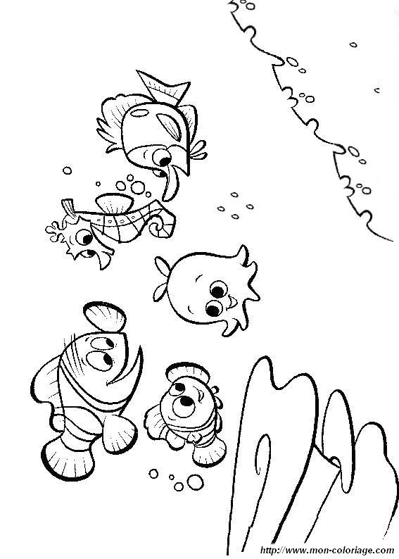 image nemo03.jpg