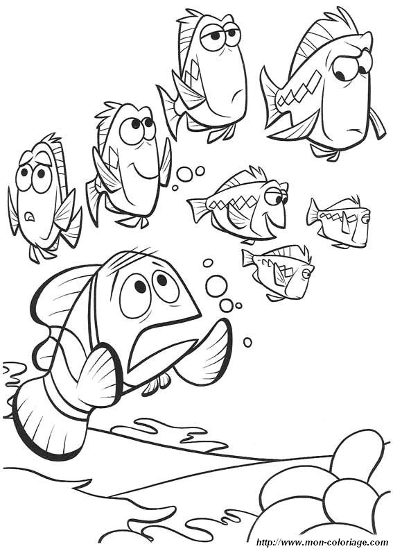 image nemo09.jpg