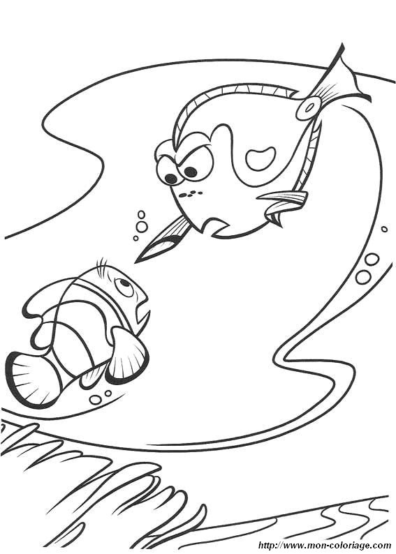 image nemo13.jpg