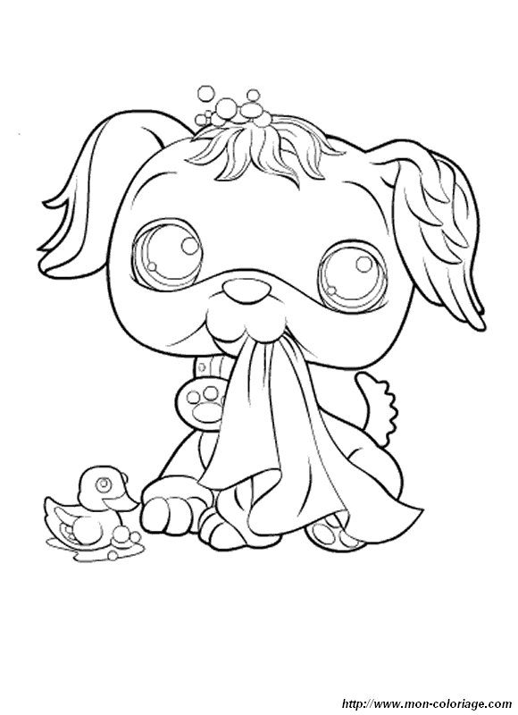 image coloriage-petshop.jpg