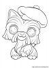 petshop-chien-beret_gif.jpg