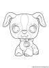 petshop-chien_gif.jpg