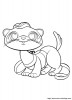 petshop-fouine-furet_gif.jpg