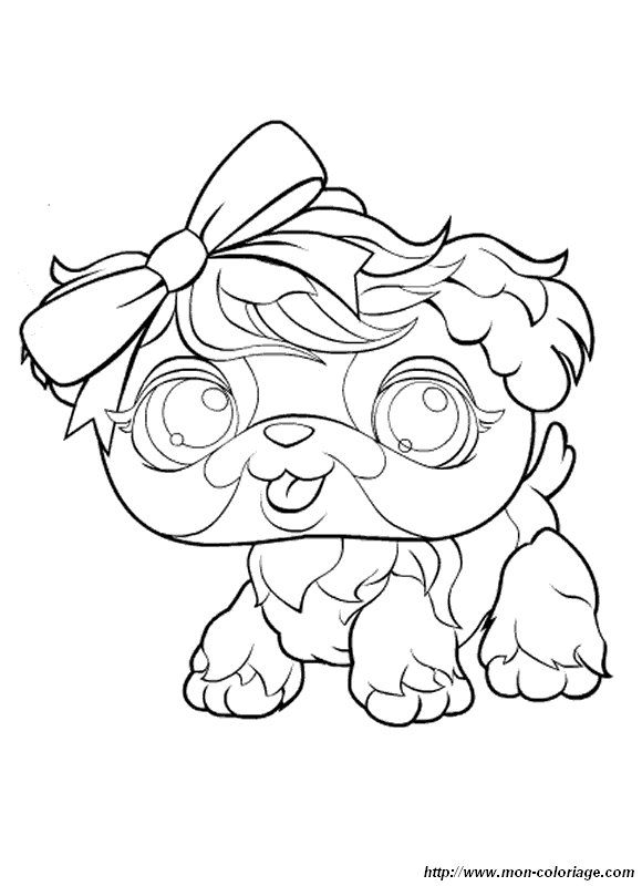 image petshop-chats2_gif.jpg