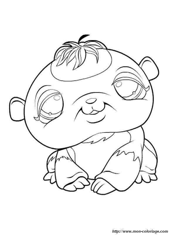 image petshop-coloriage_1.jpg