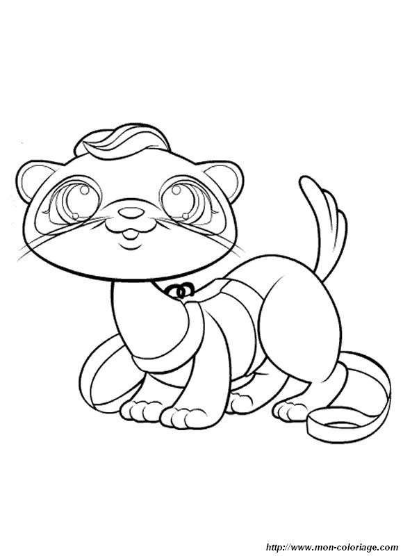 image petshop-fouine-furet_gif.jpg