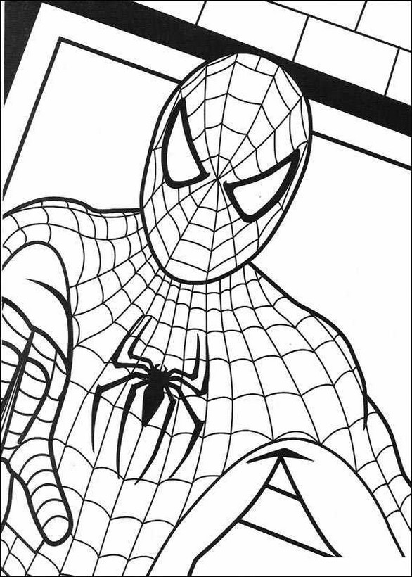 image Il-aime-la-justice-spiderman.jpg