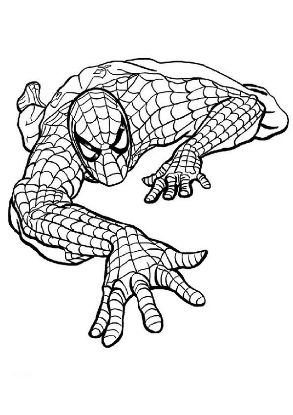 image Il-se-cache-spiderman.jpg