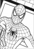 Aller  Il-aime-la-justice-spiderman.jpg